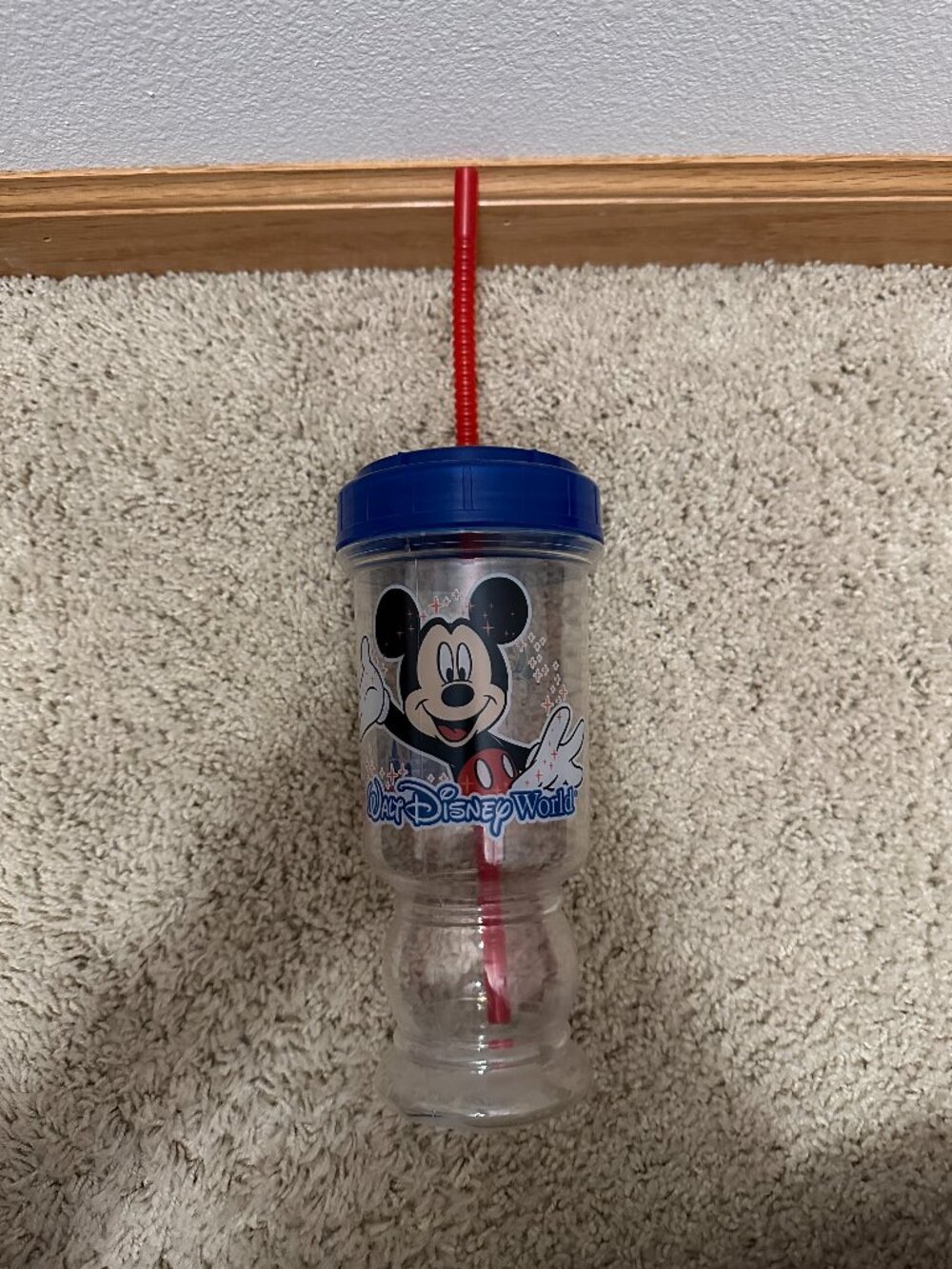 Vintage 1990s Walt Disney World Magic Kingdom Souvenir Plastic Cup
